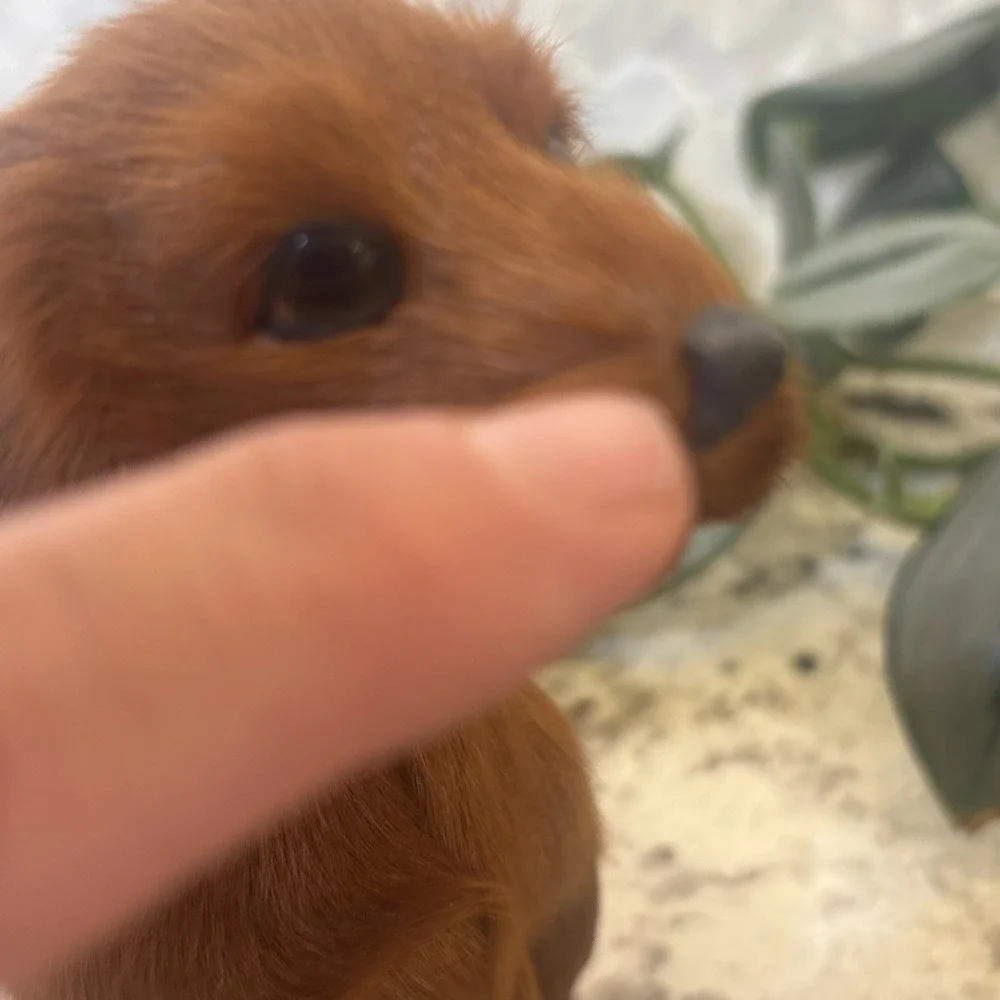 Vintage Real Fur Dog Miniature DACHSHUND Life like Soft Red‎ collectible
